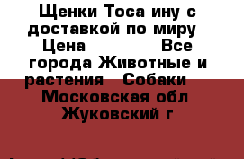 Щенки Тоса-ину с доставкой по миру › Цена ­ 68 000 - Все города Животные и растения » Собаки   . Московская обл.,Жуковский г.